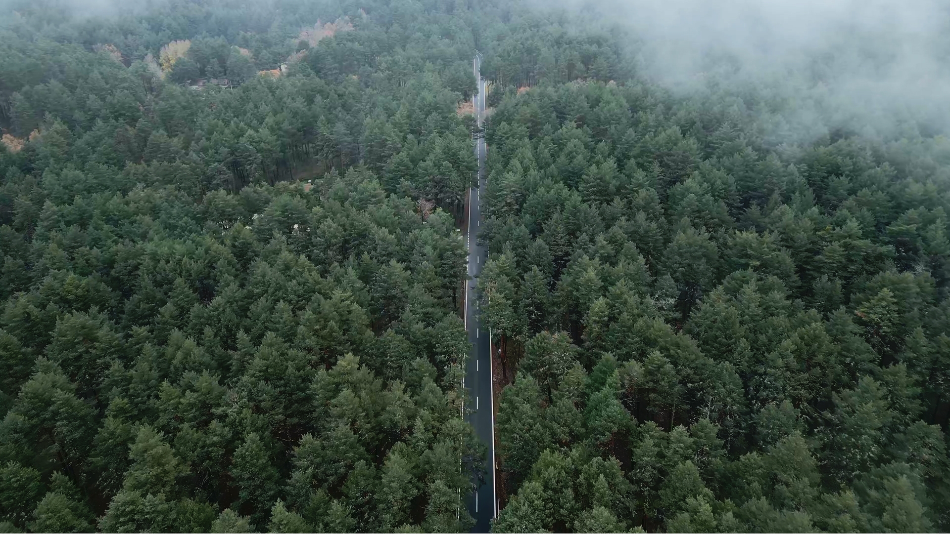 Atık Taşıma ve Lojistiği Hizmetleri